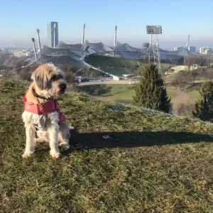 Paseando con Pruna